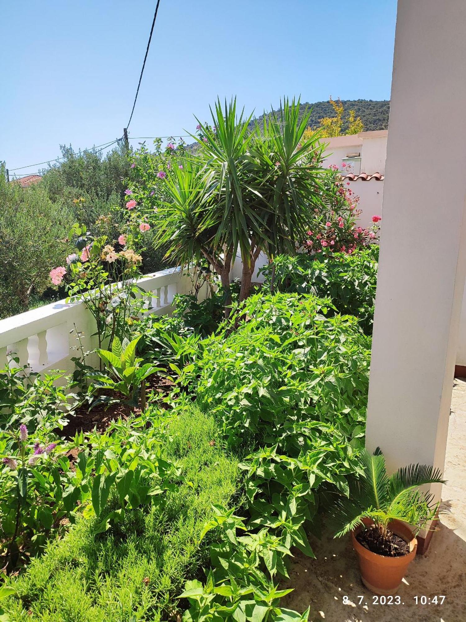 Apartment Slaven Vinisce Bagian luar foto