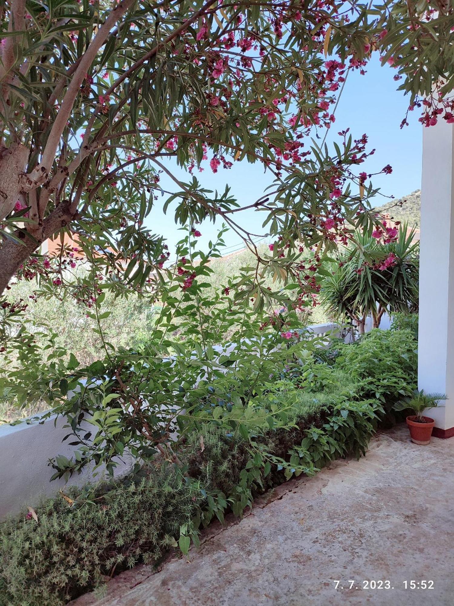 Apartment Slaven Vinisce Bagian luar foto